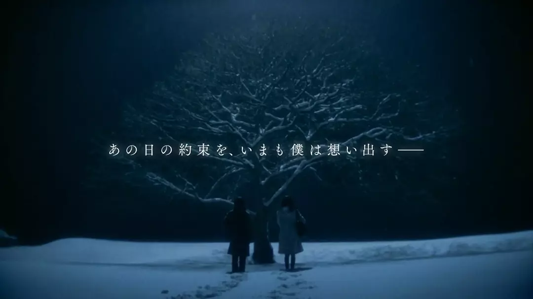 不再相见，也是一种温柔：《秒速五厘米》真人版定档今秋