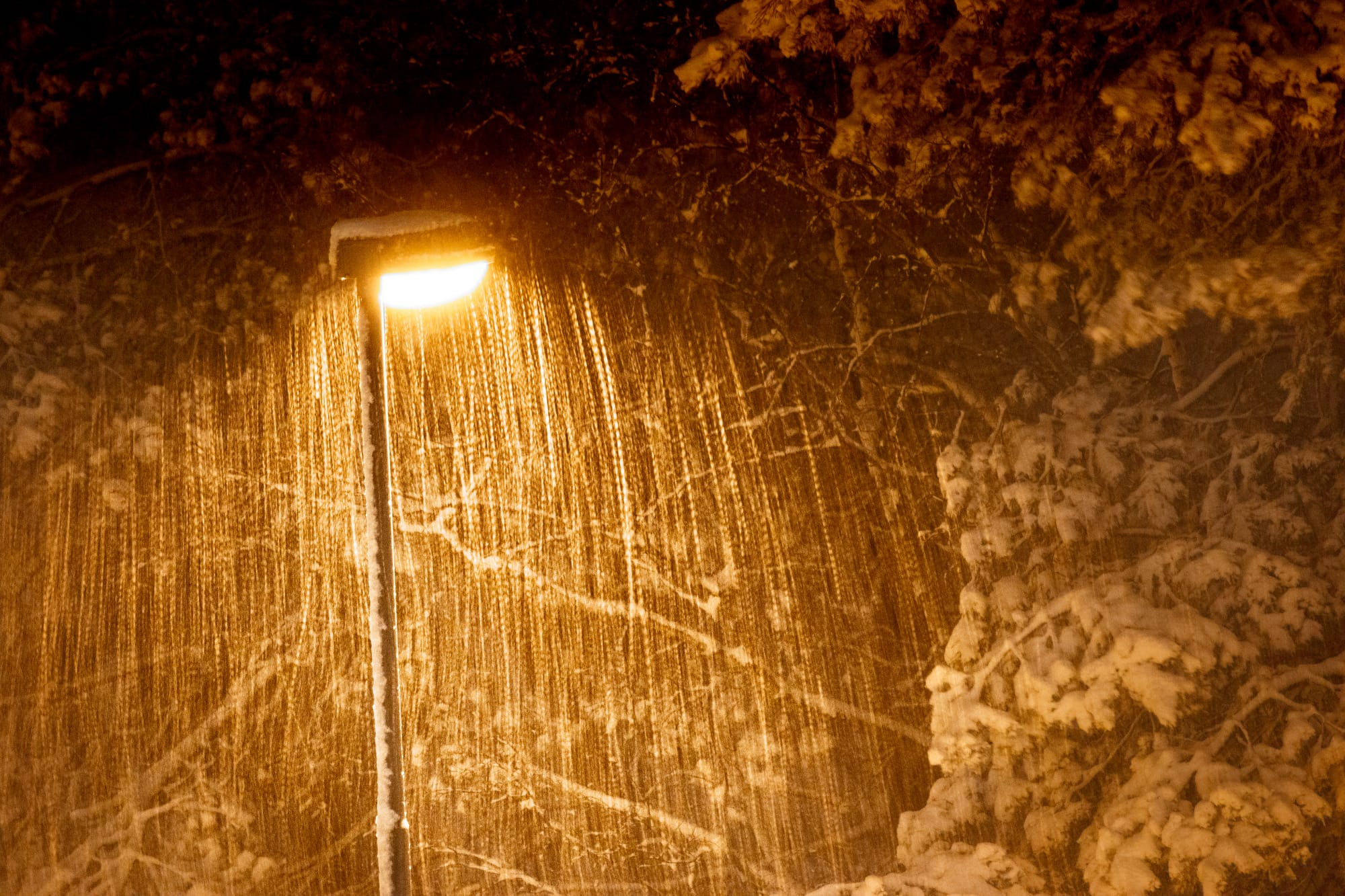 雪夜里的路灯